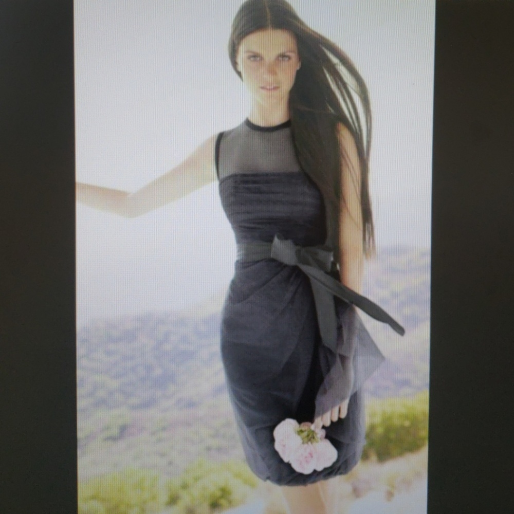 Vera Wang Dress